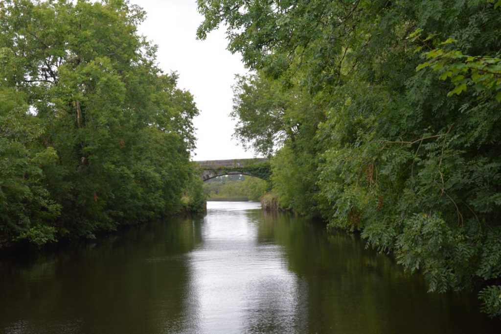 DSC_6206Mittel_.JPG